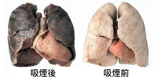 1528077967750133.jpg 20171019_59e92f211d519.jpg