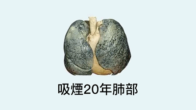 1528078178602878.gif 1514282879148671.mp4_1527933094.gif