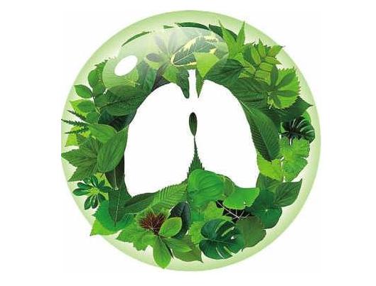 1528078224832925.jpg 20171019_59e92f24d9e9f.jpg